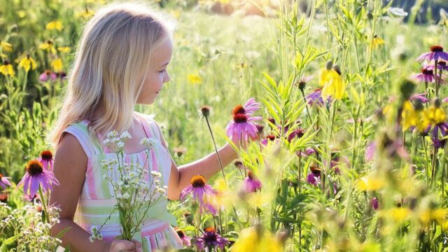 得意苦手の診断と差が激しい子供